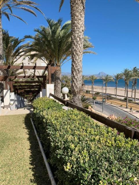 Apartmán Altos Blancos El Campello Exteriér fotografie